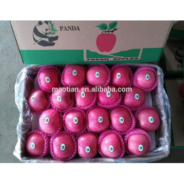 China Fresh Fuji Apples processed by our own factory from our own stock